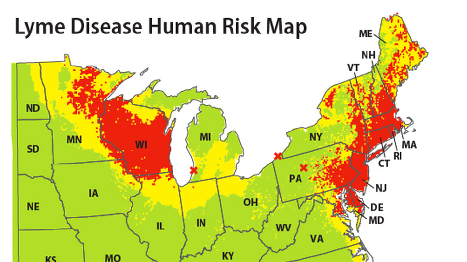 The highest human risk for Lyme disease lies in the Northeast, Mid-Atlantic and Upper Midwest.