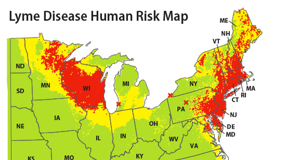 Болезнь лайма карта