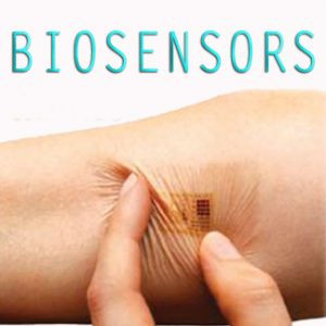 Biosensors-frankmagliochetti-report